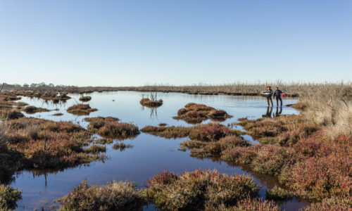 Partnering to connect communities to Corio Bay’s coastal ecosystems